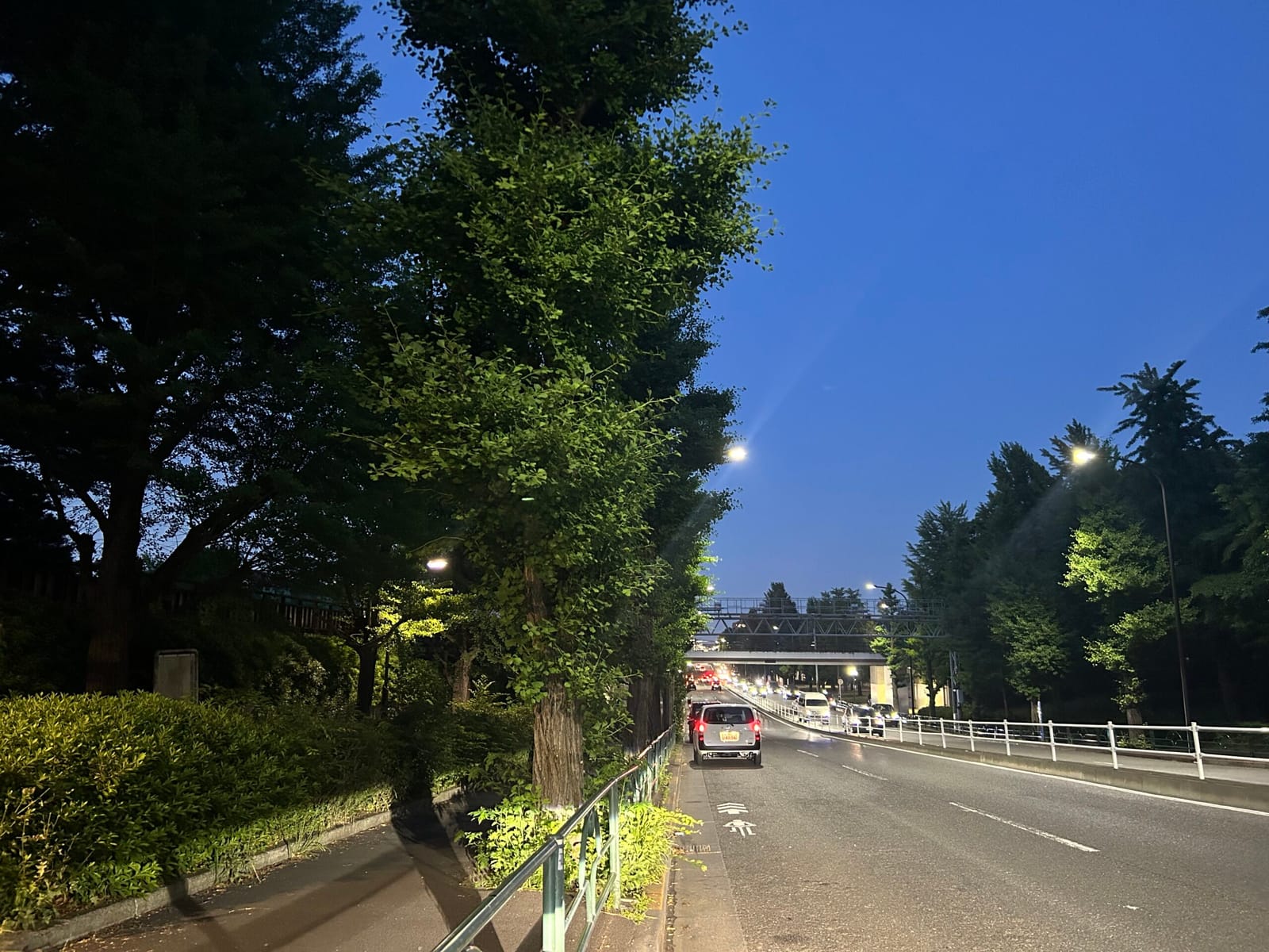 19時までFree