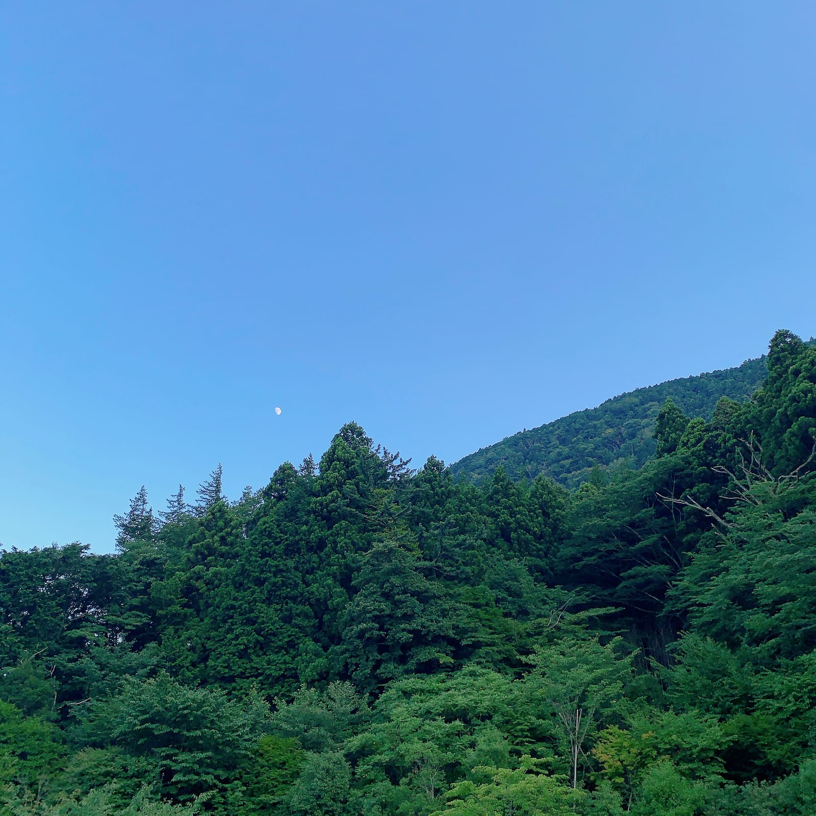 脳内、少々酸欠中