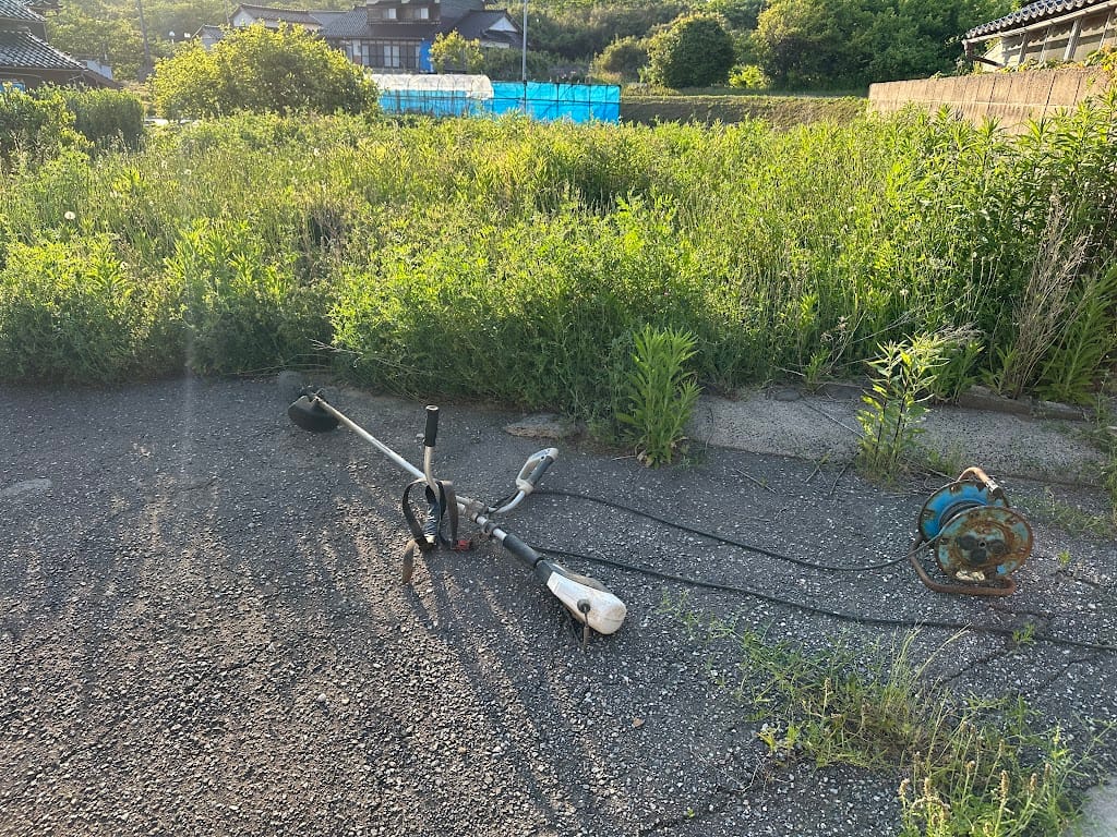 草刈りの季節