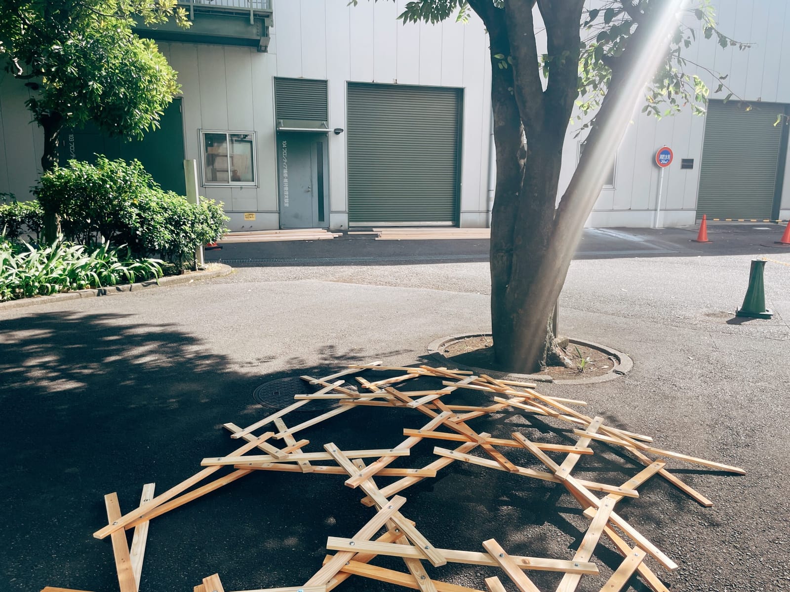 生まれゆく作品・生まれた日を祝う日