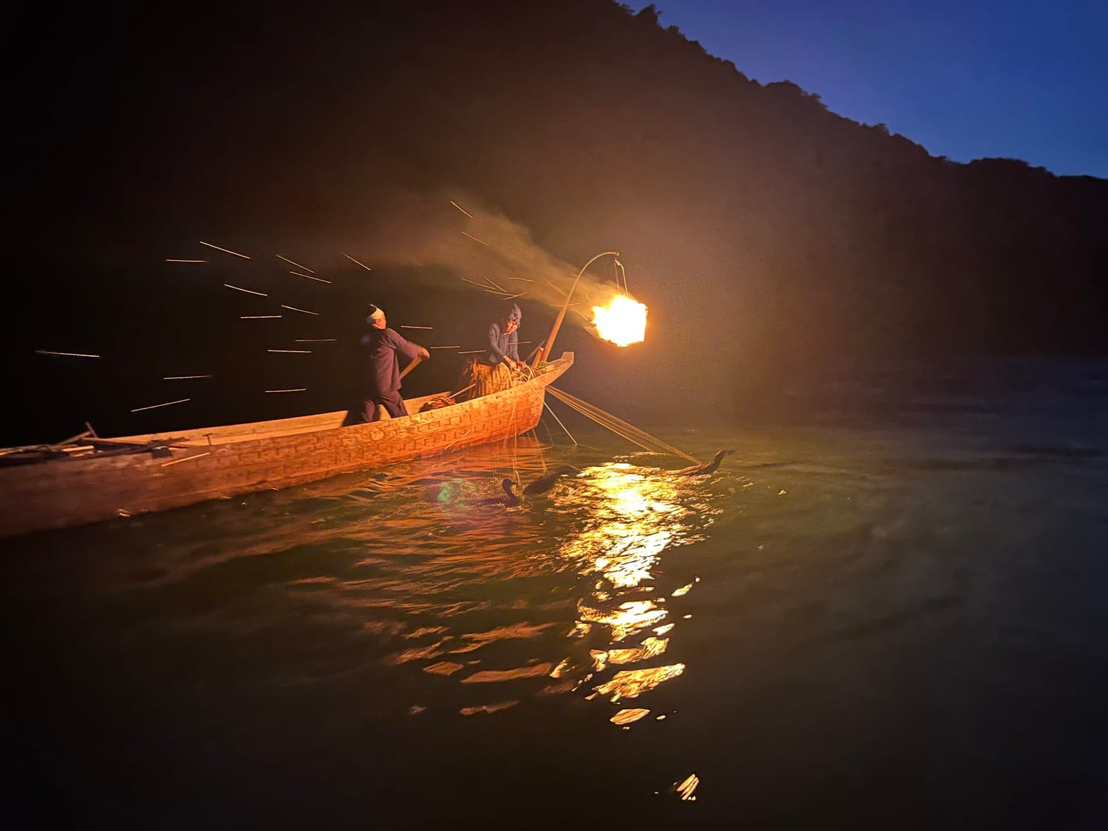 cormorant fishing - ukai