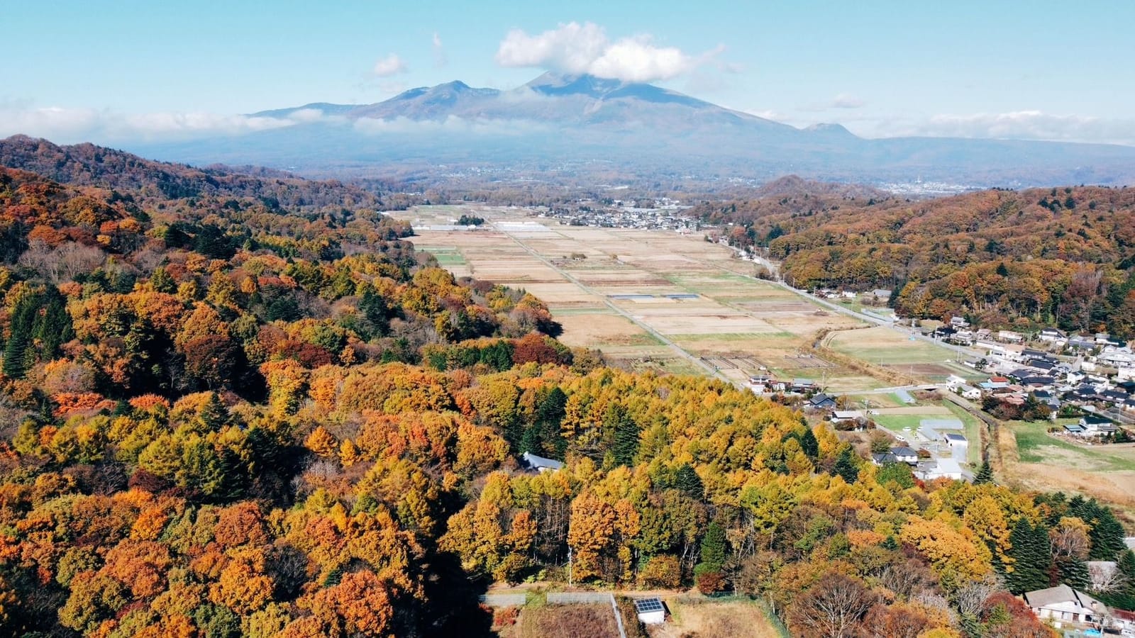 紅葉を俯瞰