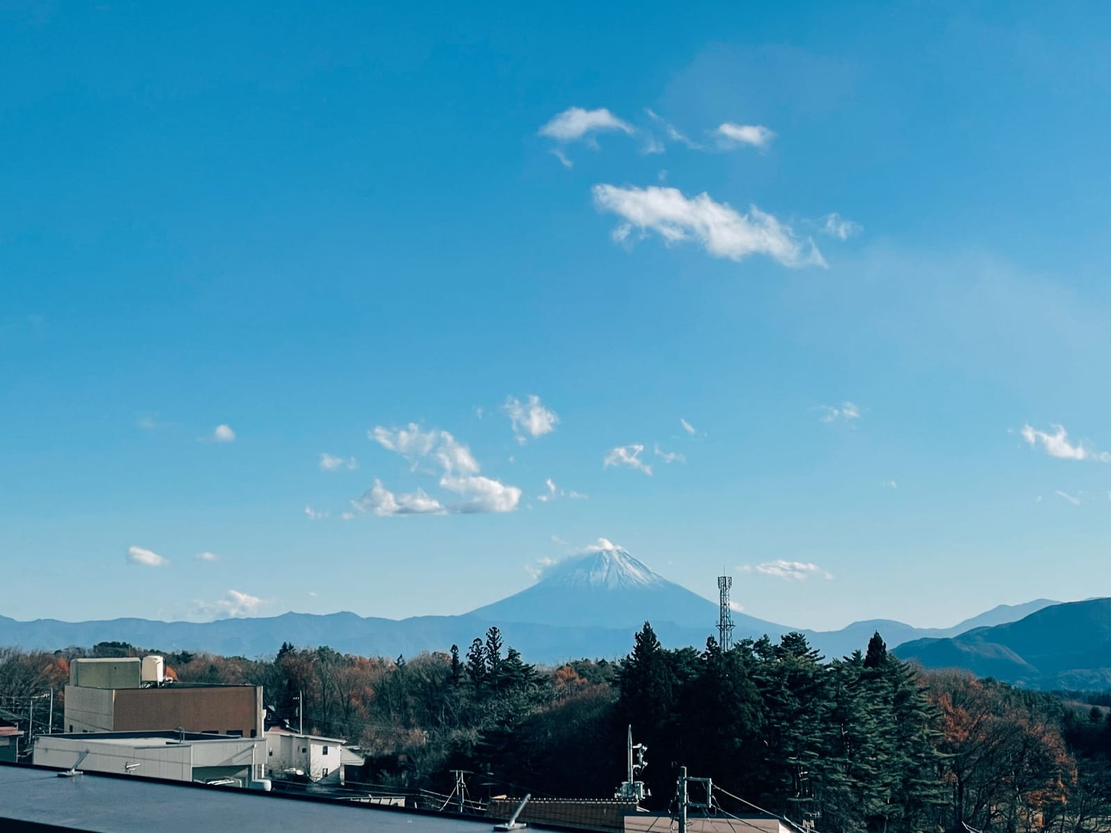 師走…なのか？