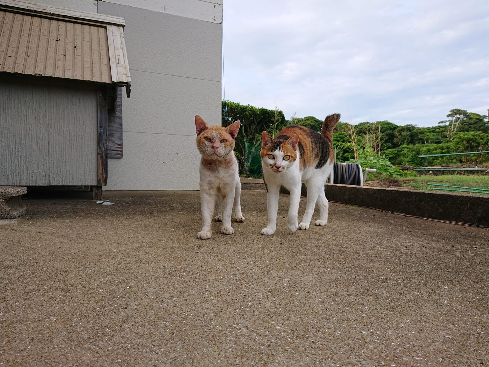 祈りのような