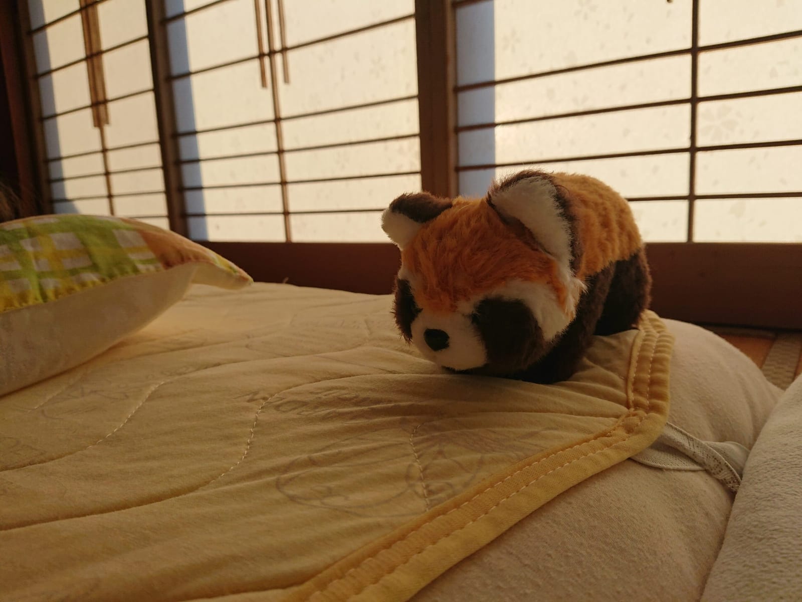 夏の週末