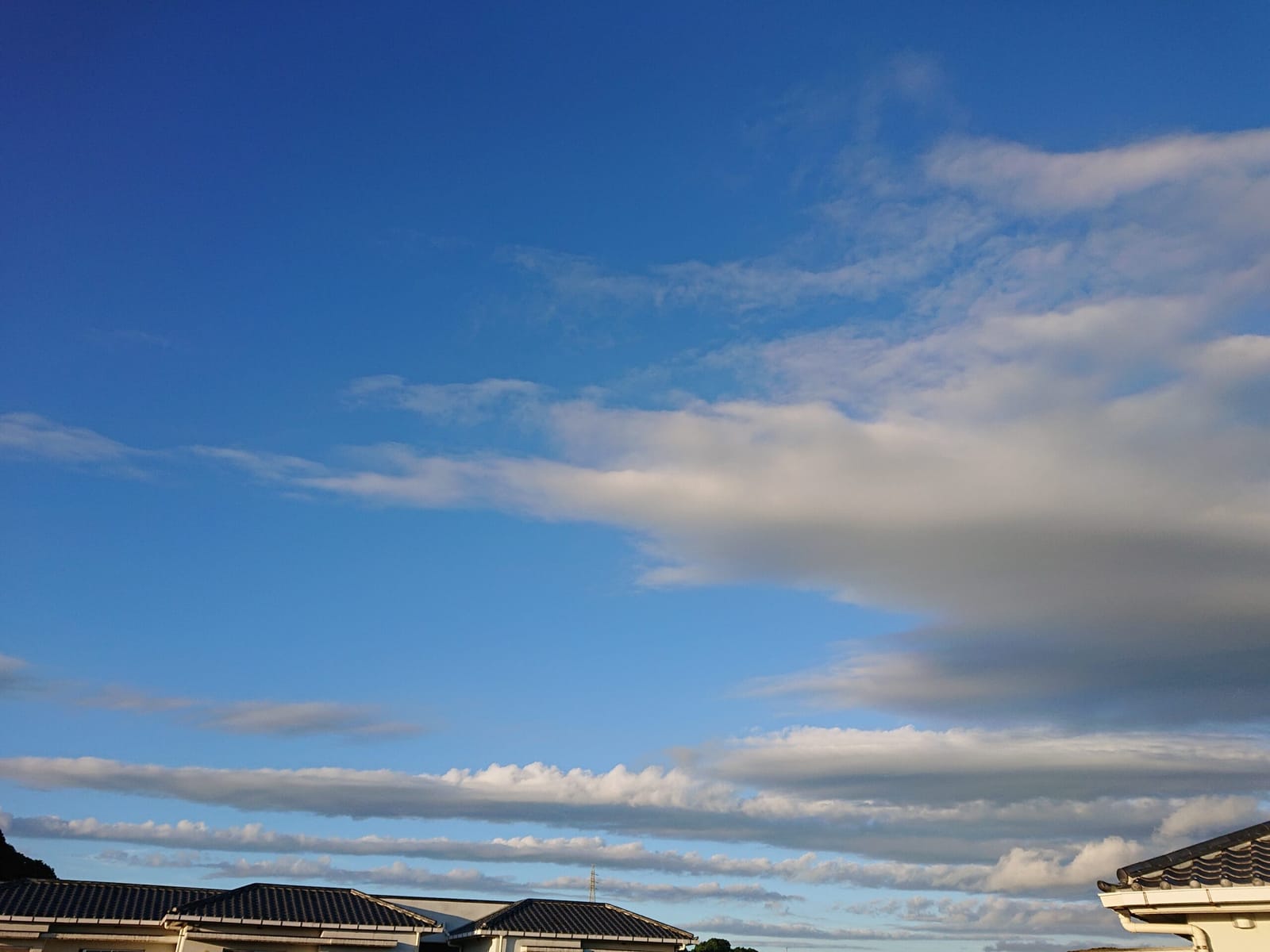 ロゴみたいな朝の雲