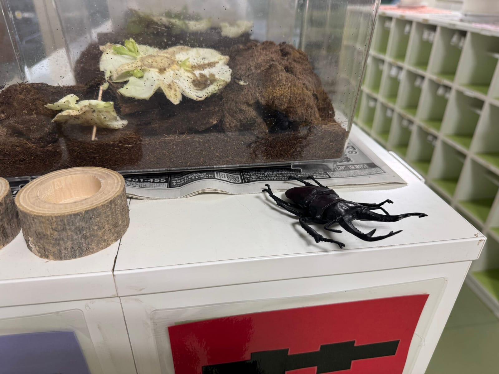 ビックリした！