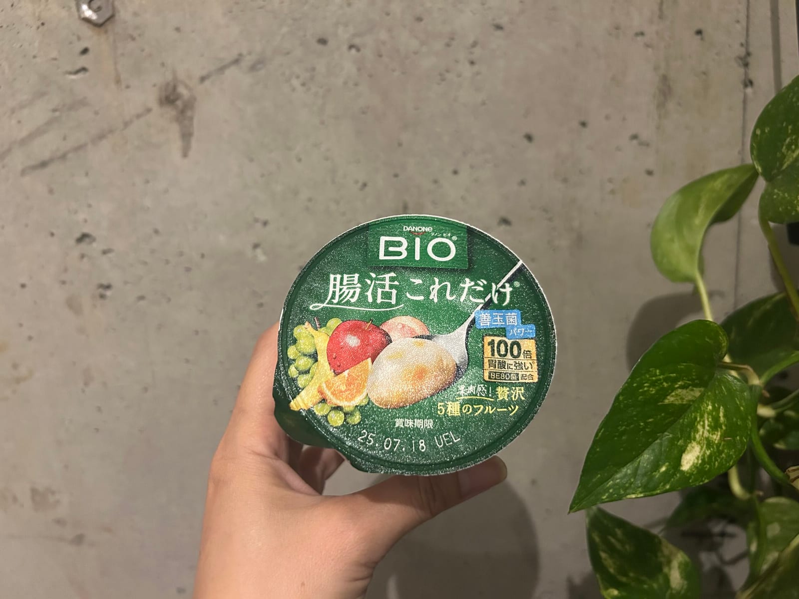素敵なマダム