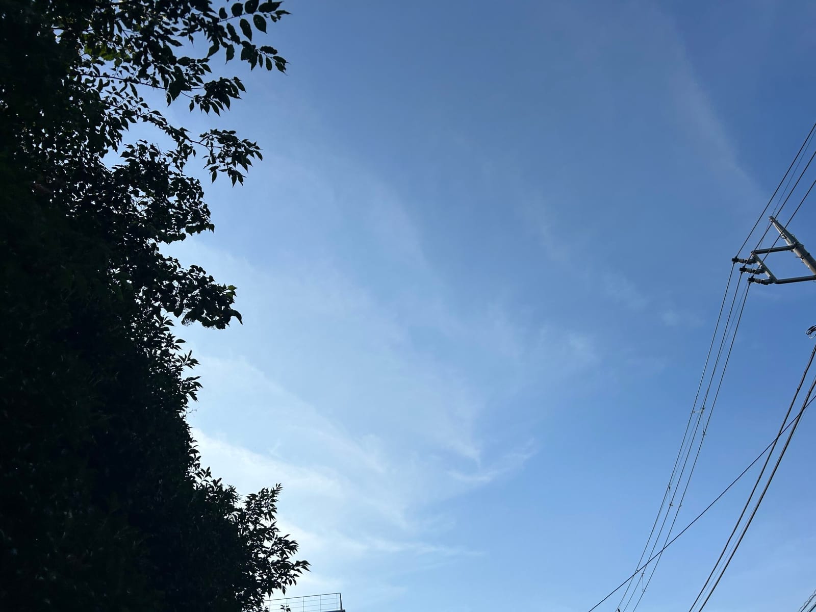 朝に歩く