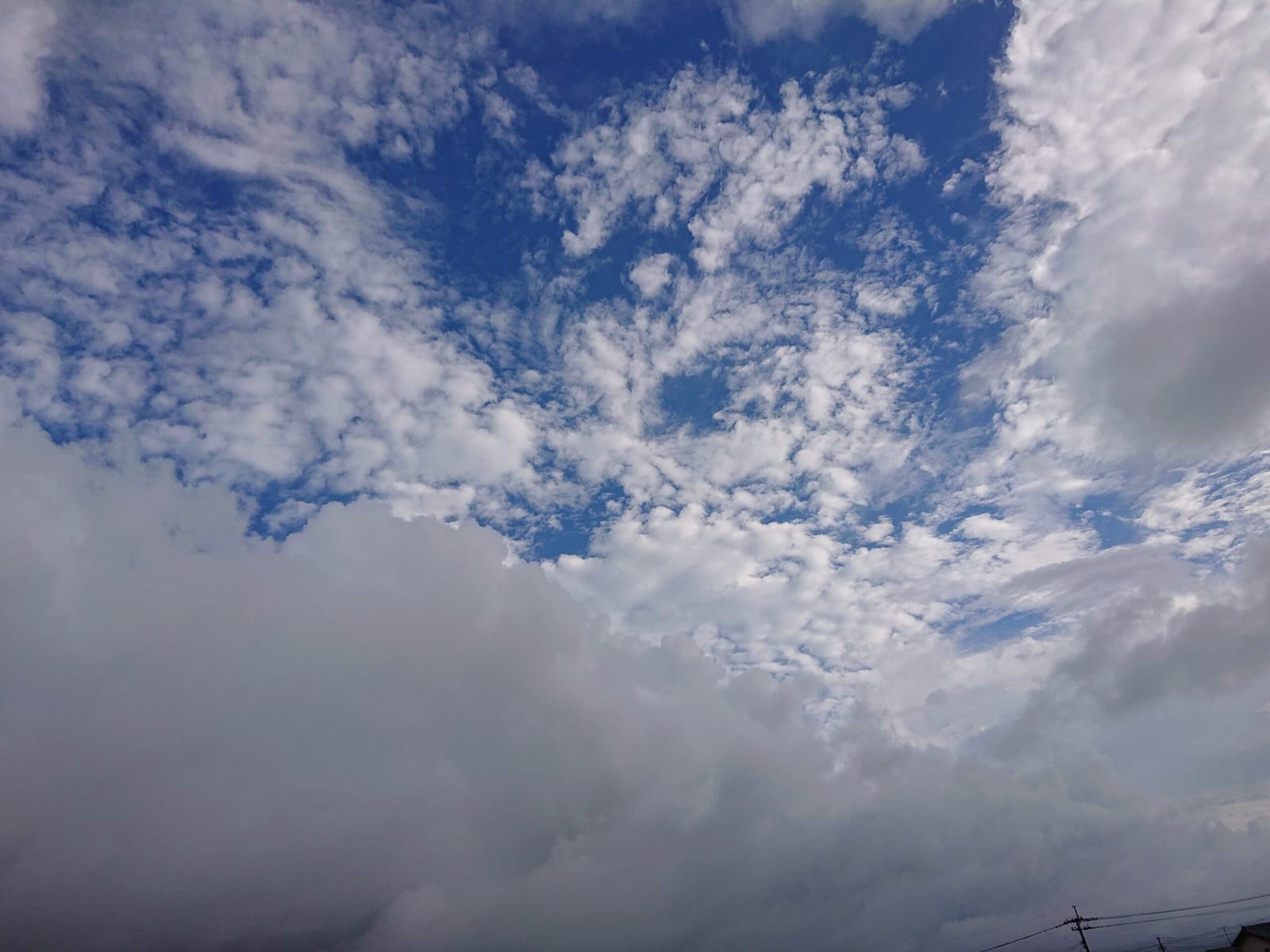 久しぶりの青空！
