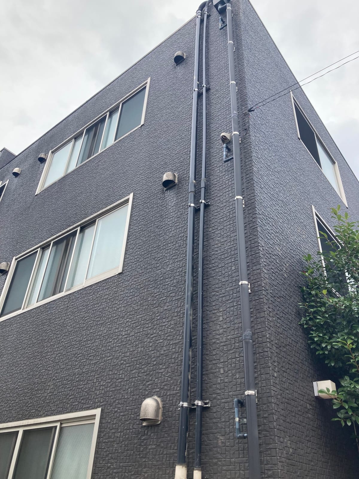 騙し討ちの後味