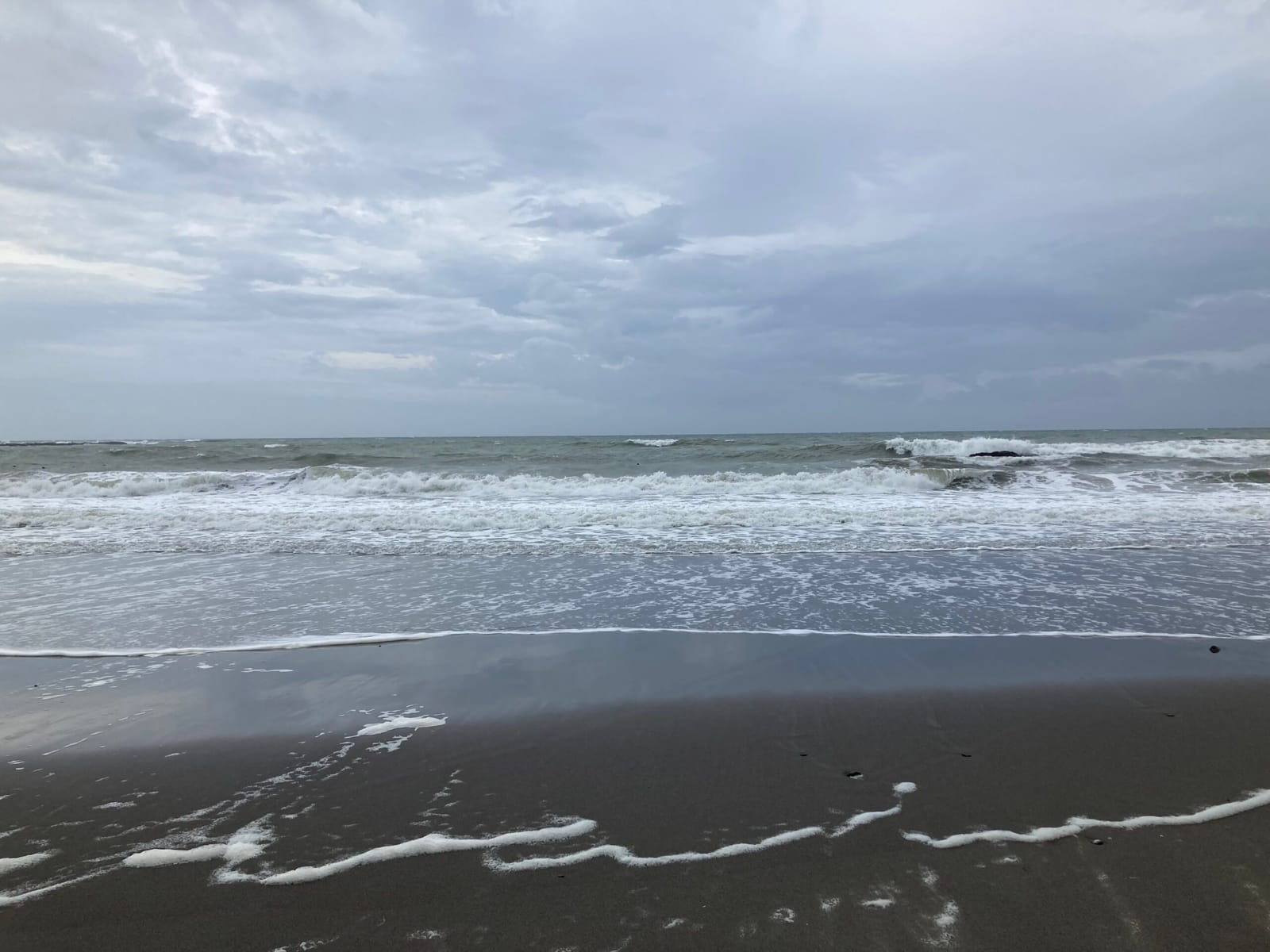 水槽の掃除