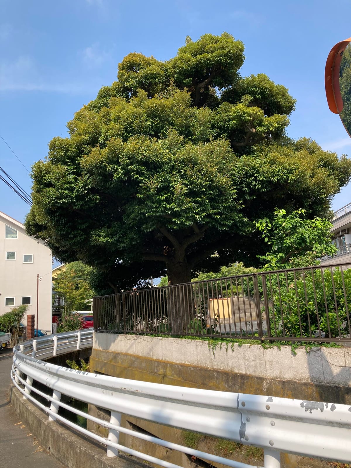 週の終わり