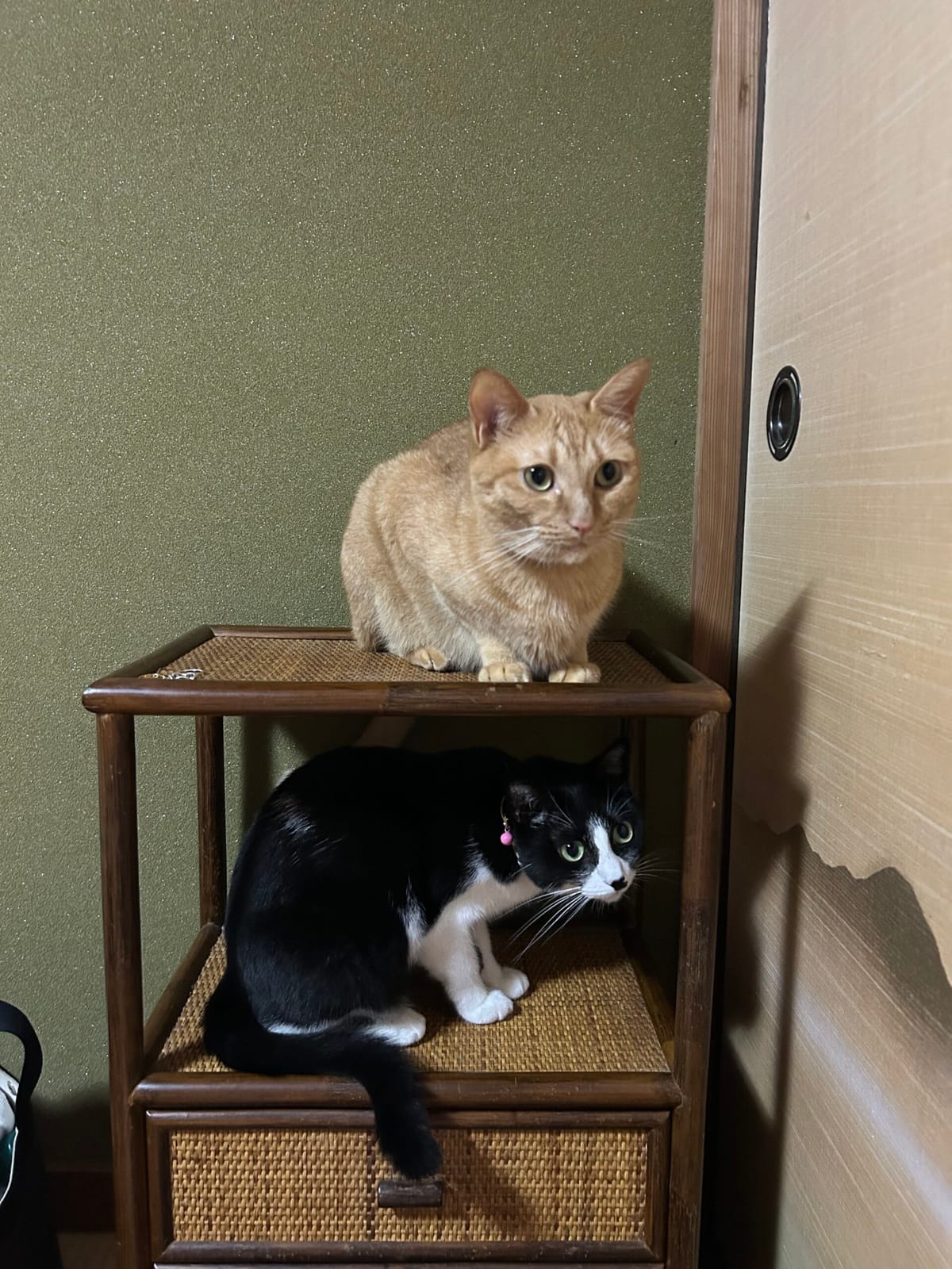 親戚に近い関係