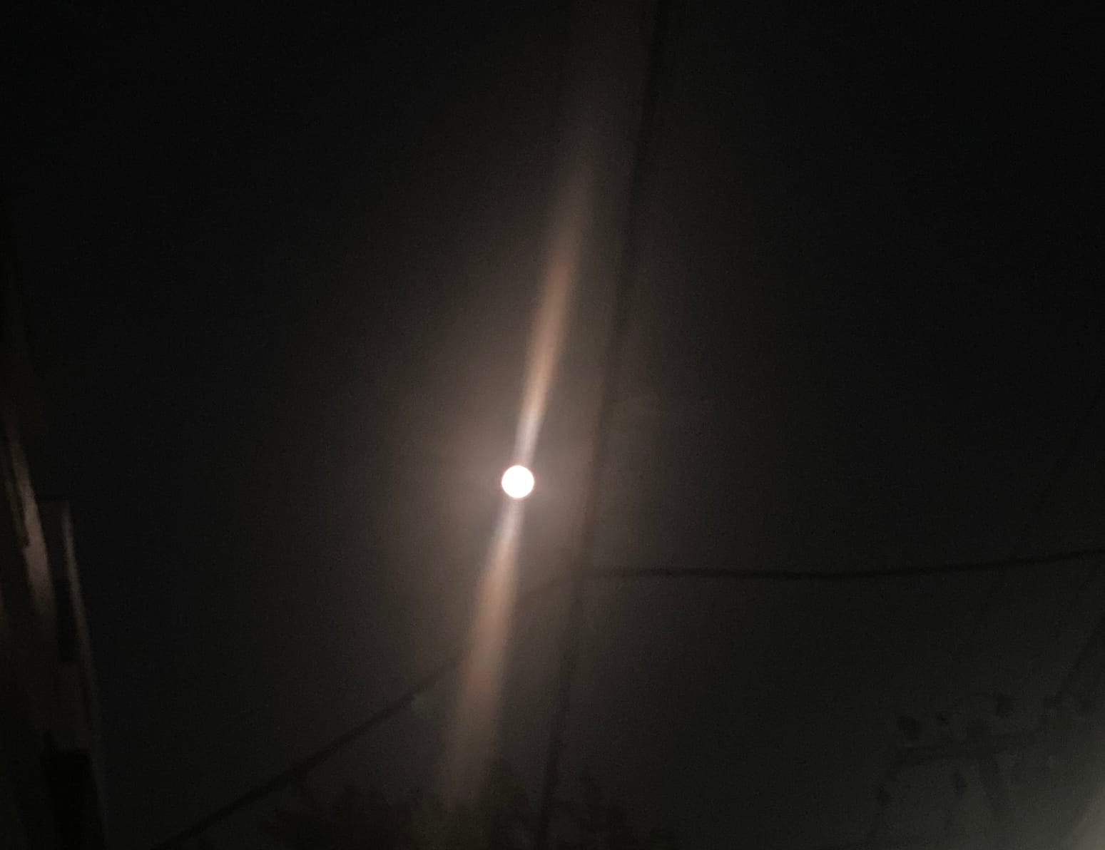 この夏の星を見る
