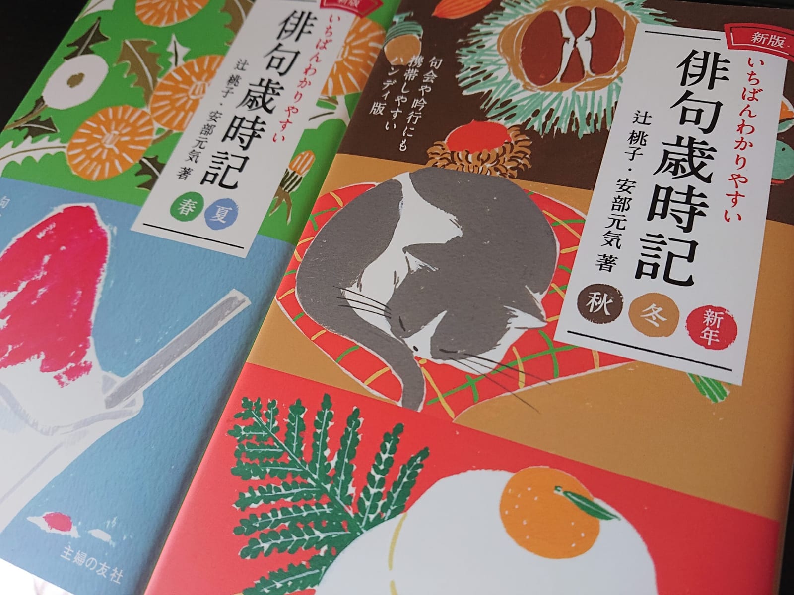 へへ、買っちゃった♡