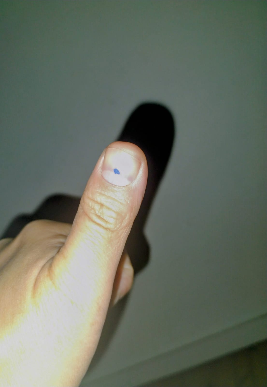 普通を噛みしめる