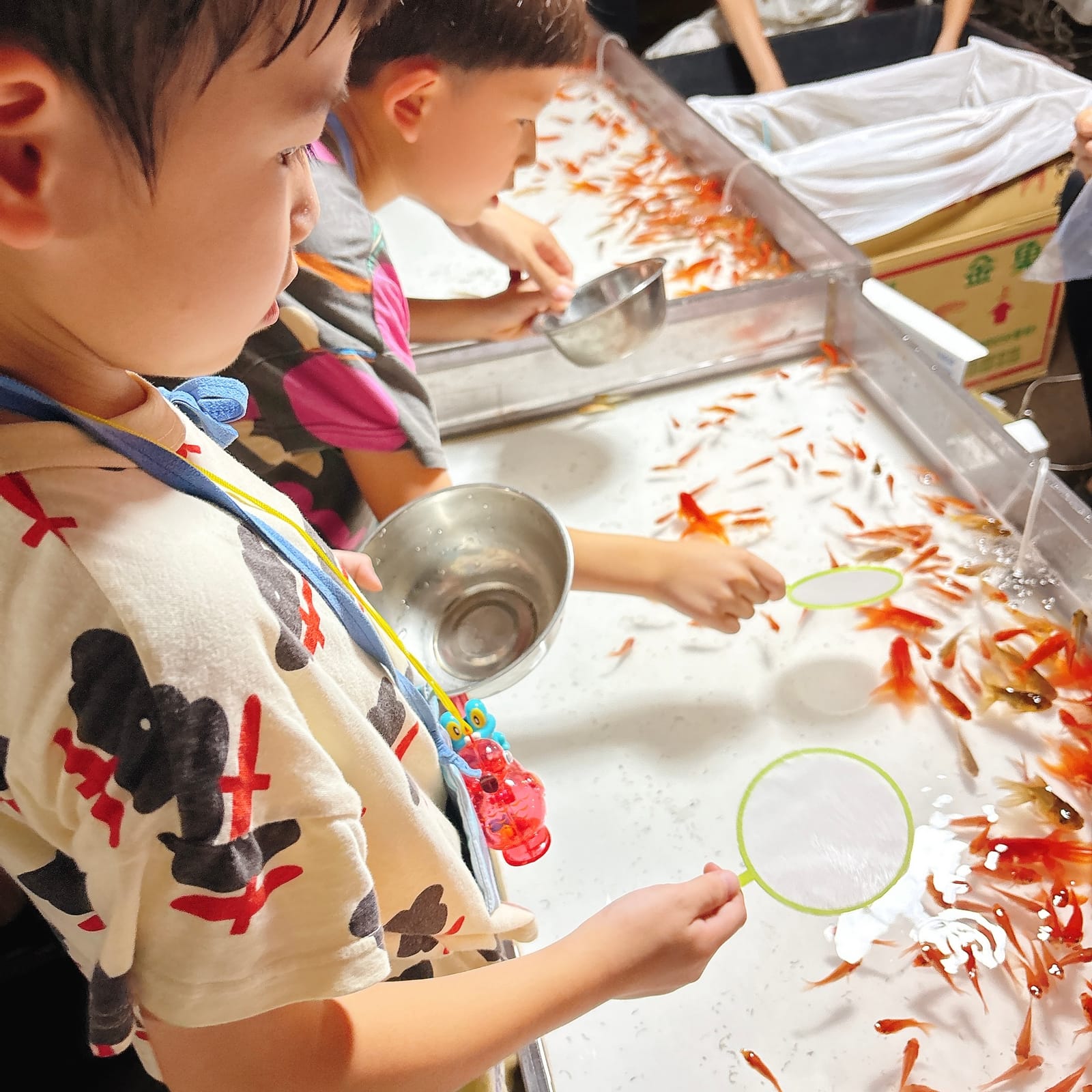 書道、縁日、金魚