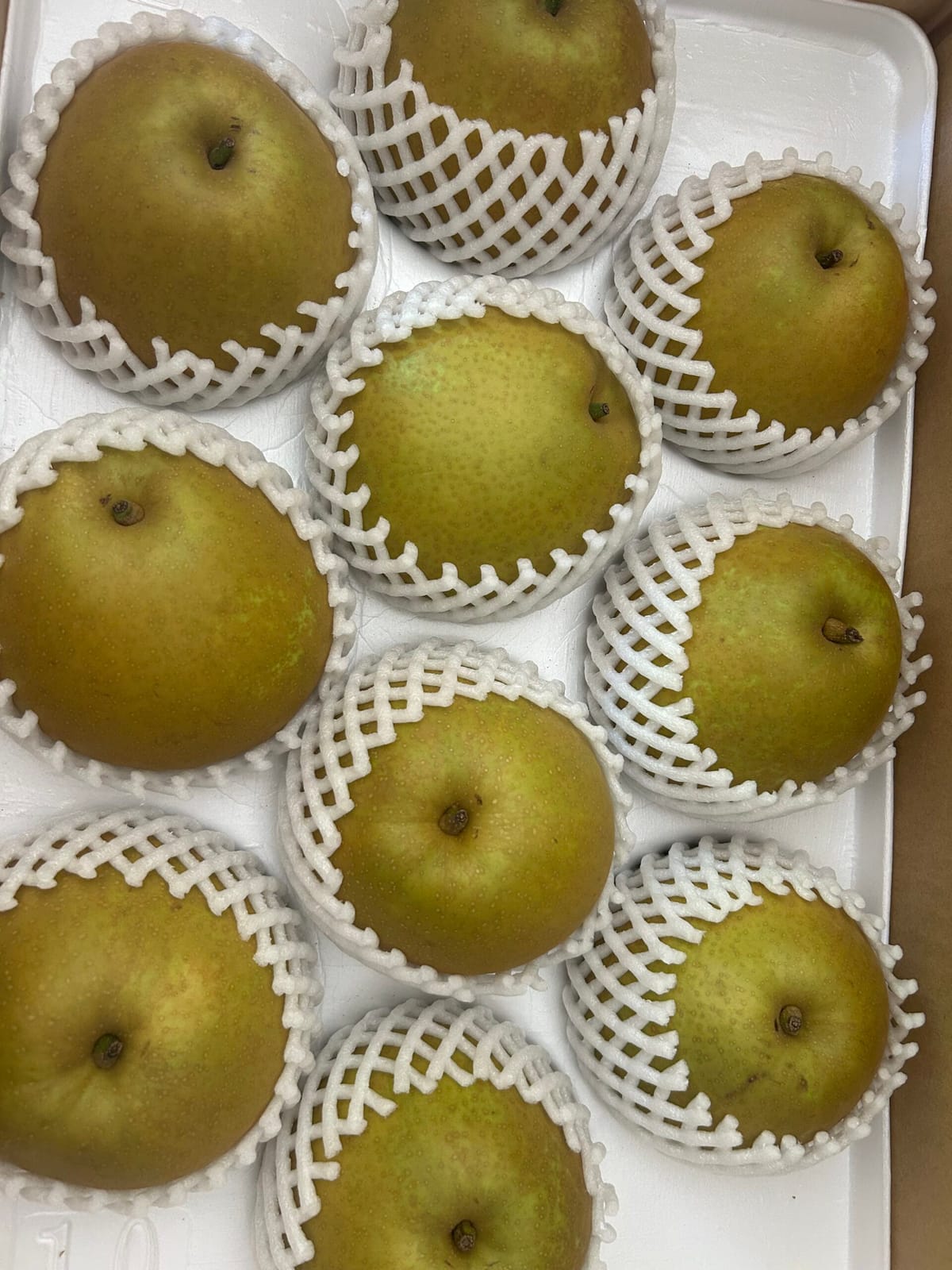 秋の果物満載