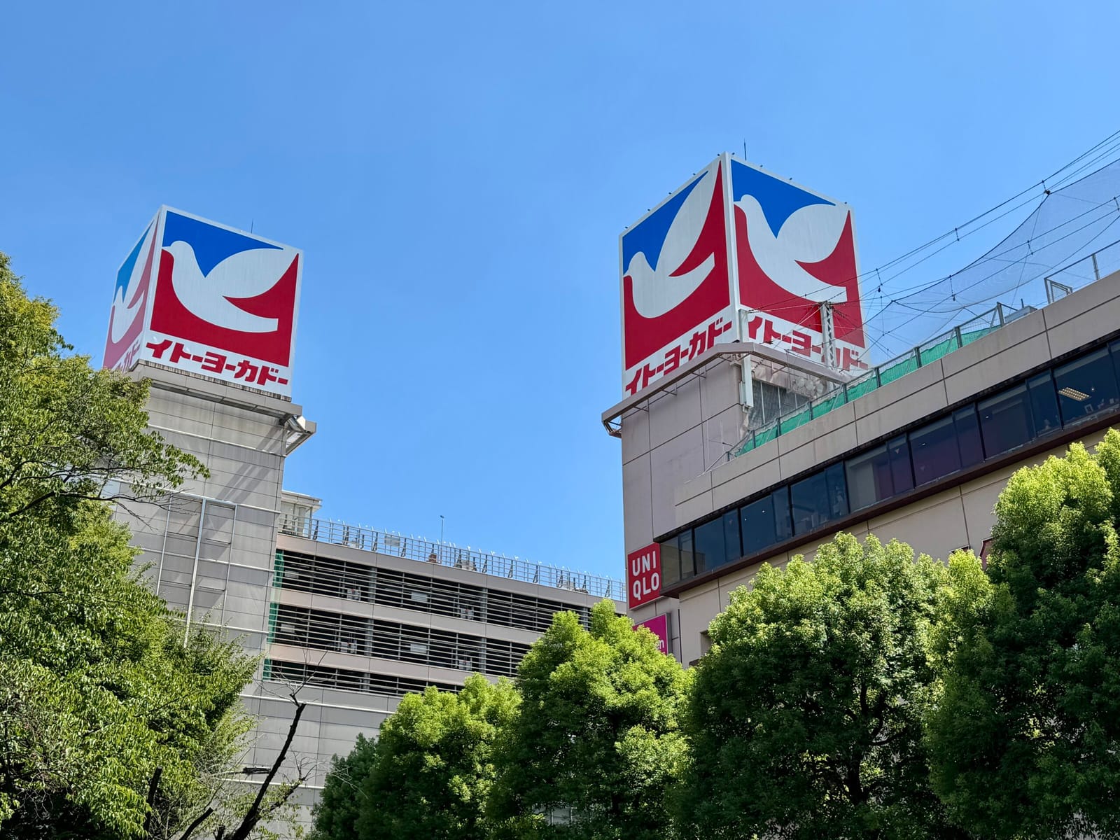 残ると残らないの差