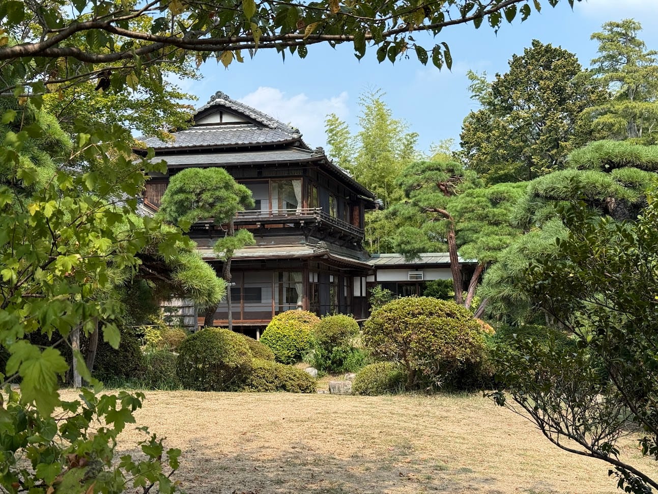 寄居散歩