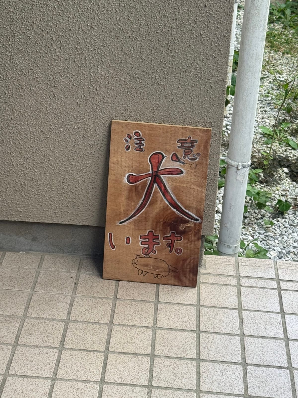 整う