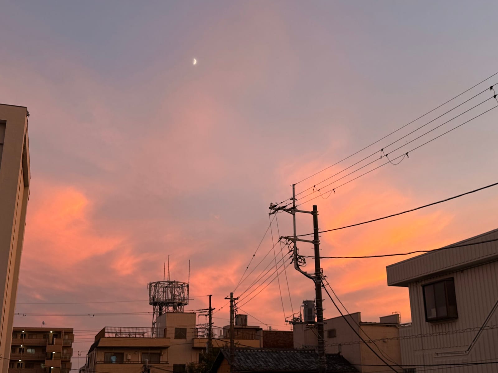 外が紫だよ