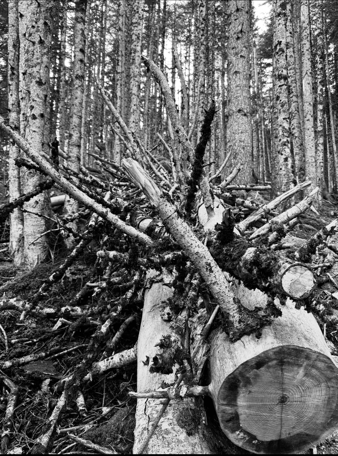 Fracturado