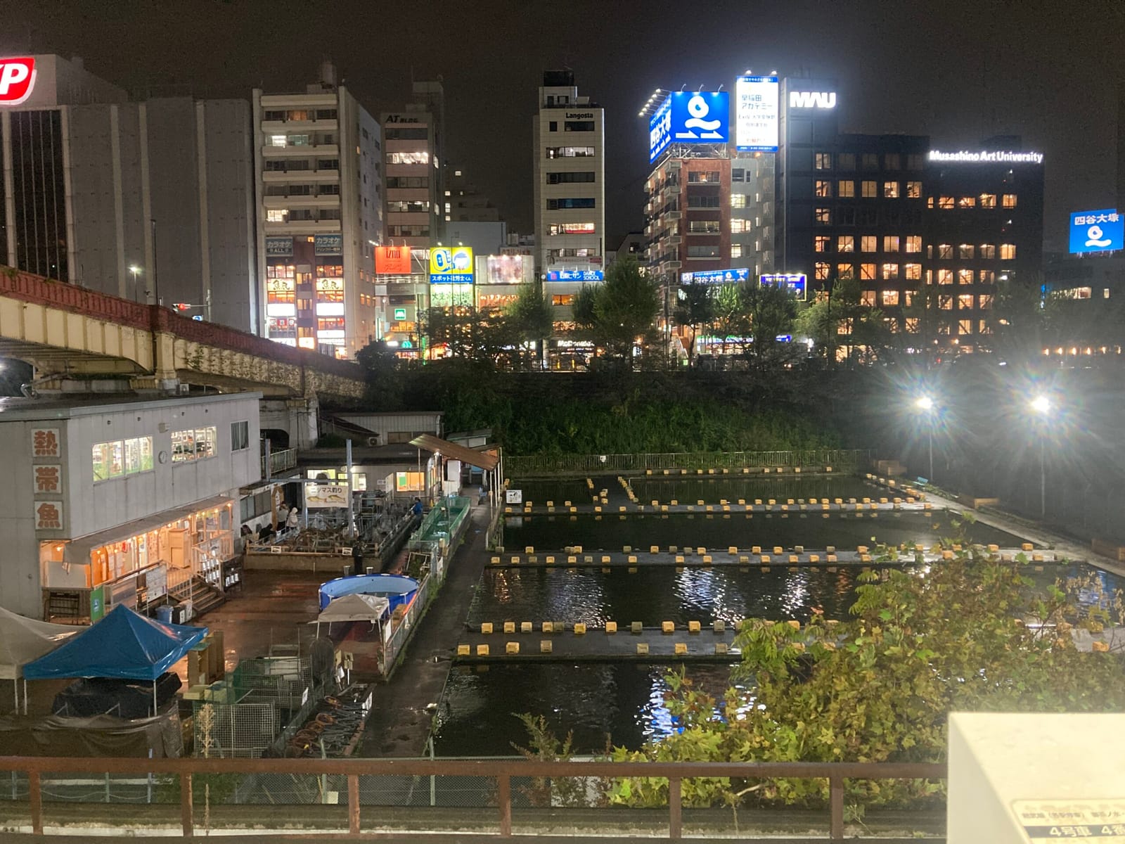 ごねるネゴ