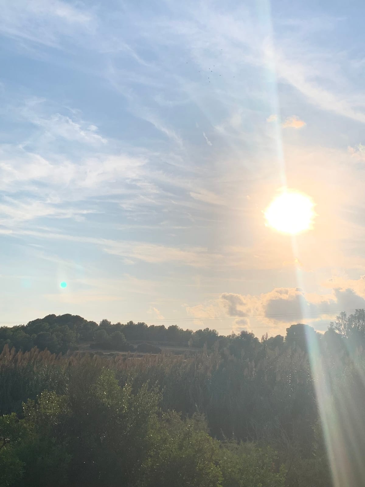 10 月