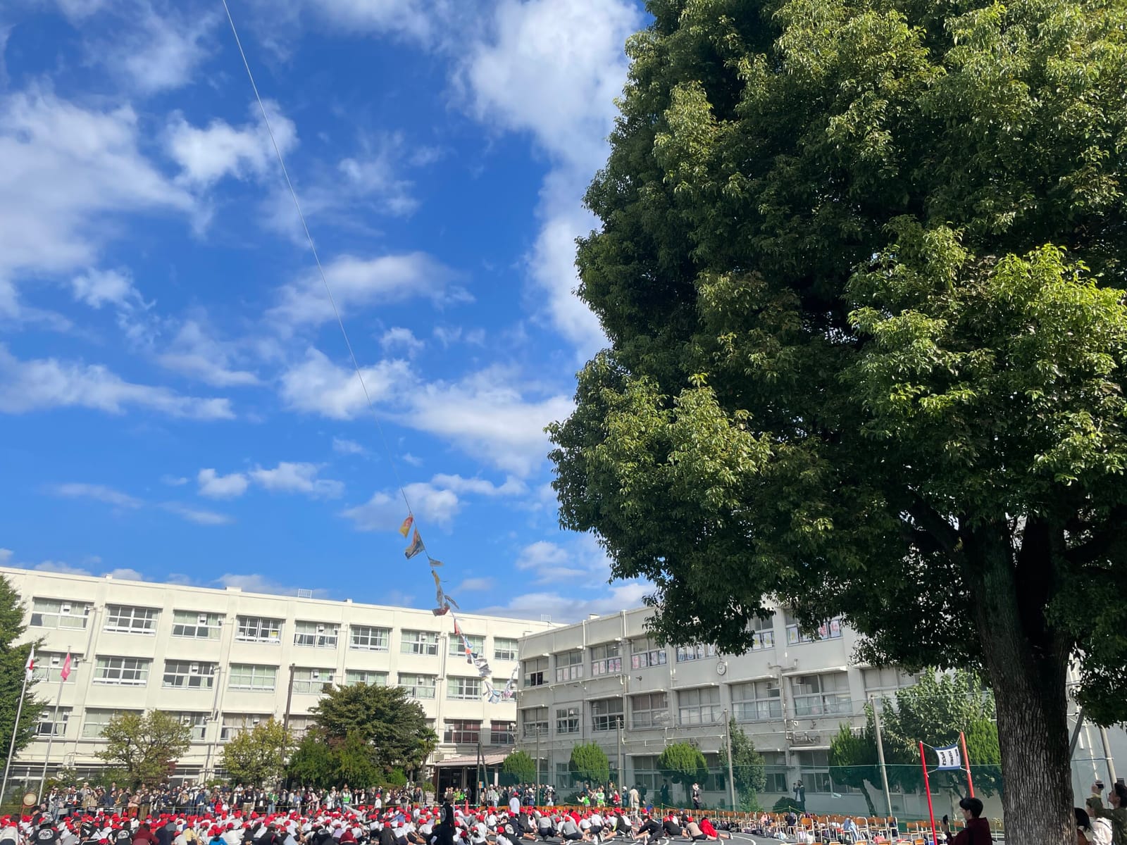 観戦の火曜