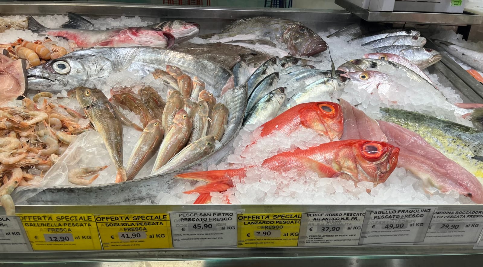 fish market