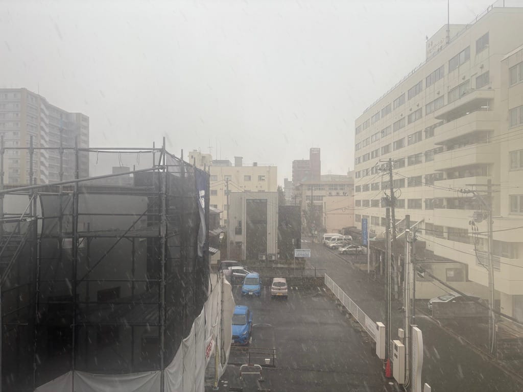 雪降る