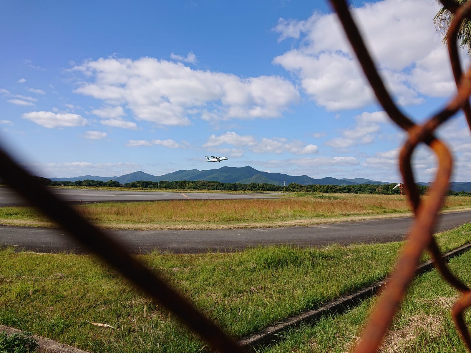 ワクワクに素直な血筋