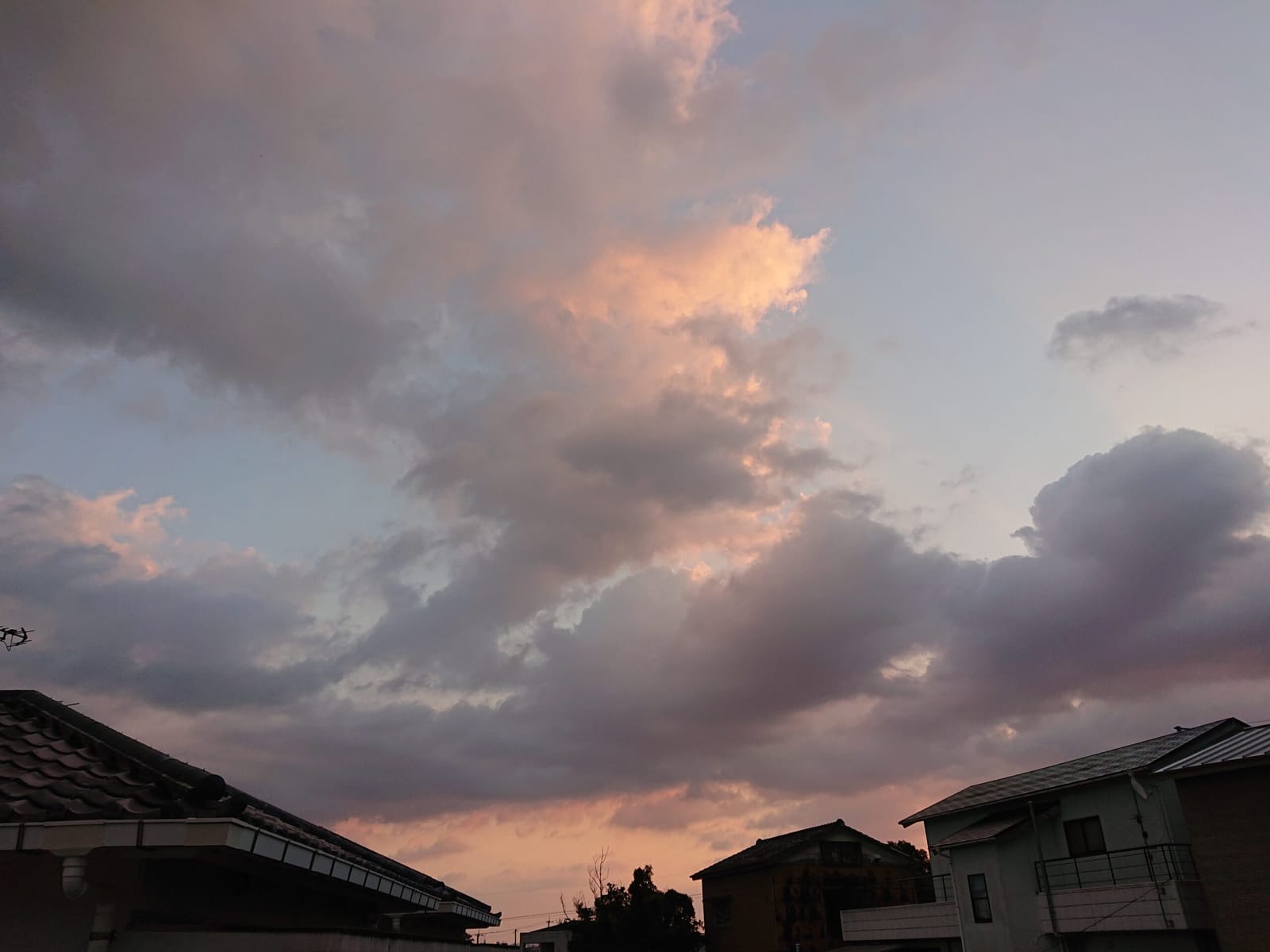 久しぶりの雨