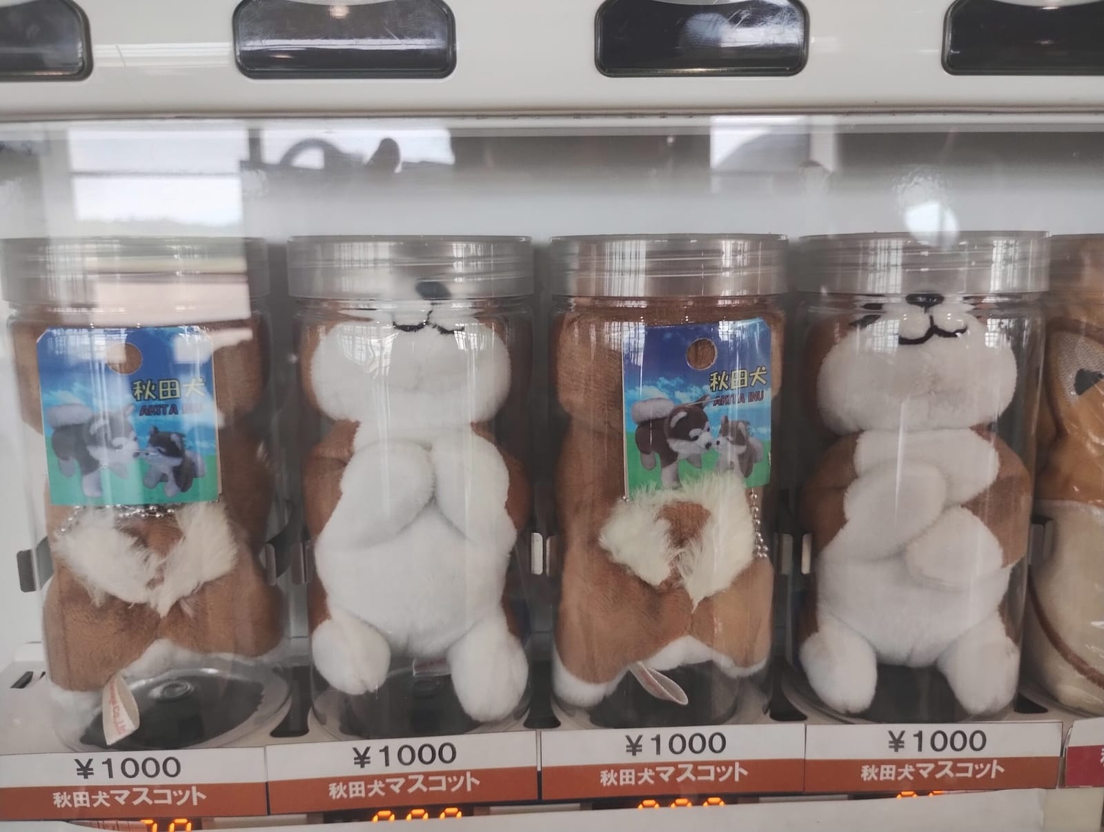たまごの手?