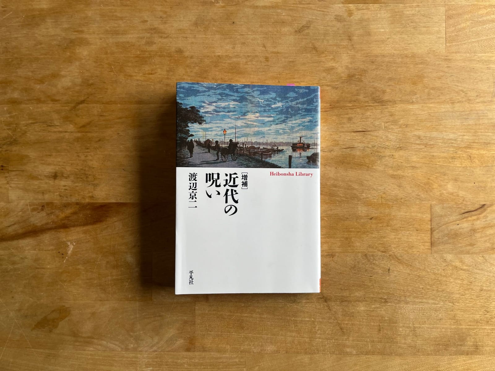 「両者を一貫してとらえることと、その違いをつかむことの両方が必要なのでしょう」渡辺京二『近代の呪い』