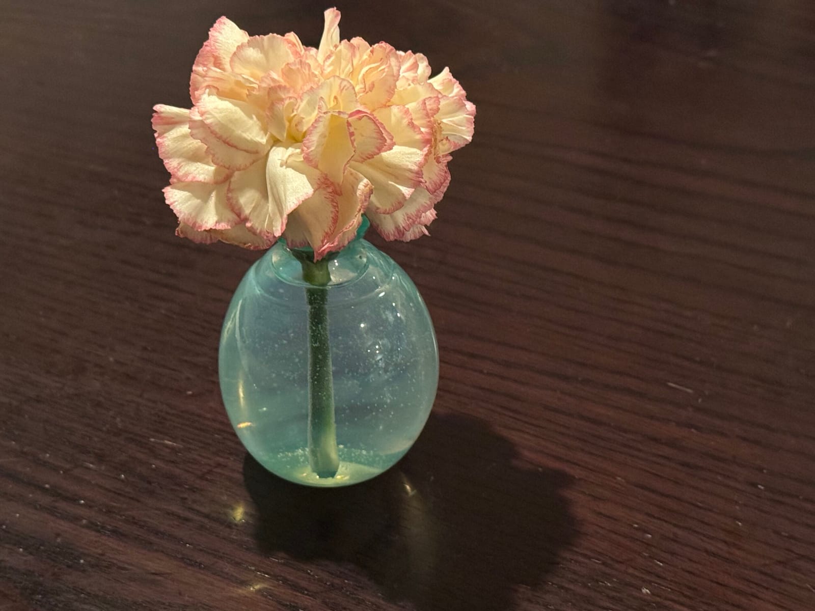 生と死