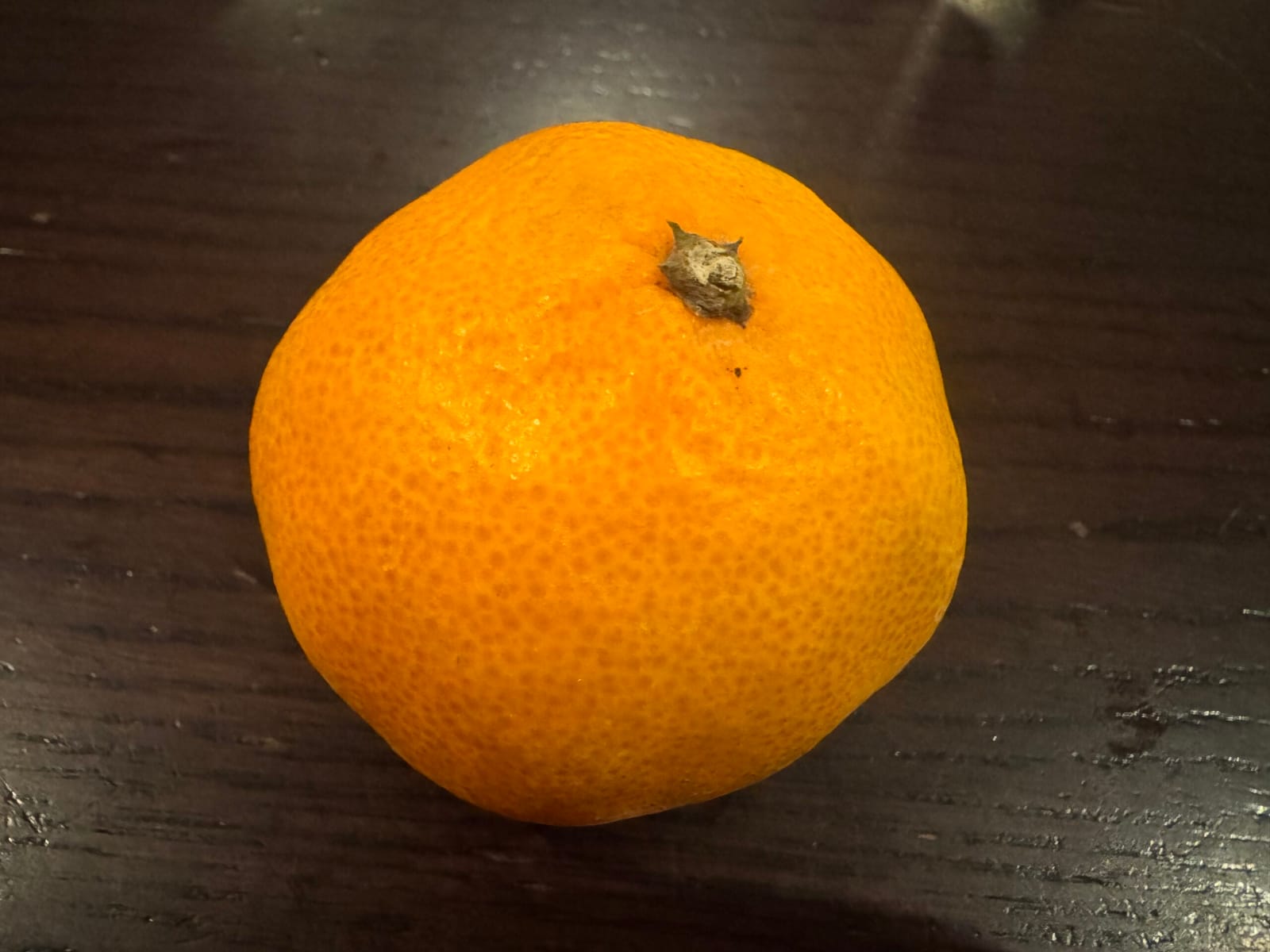 みかんで乗り切れるか