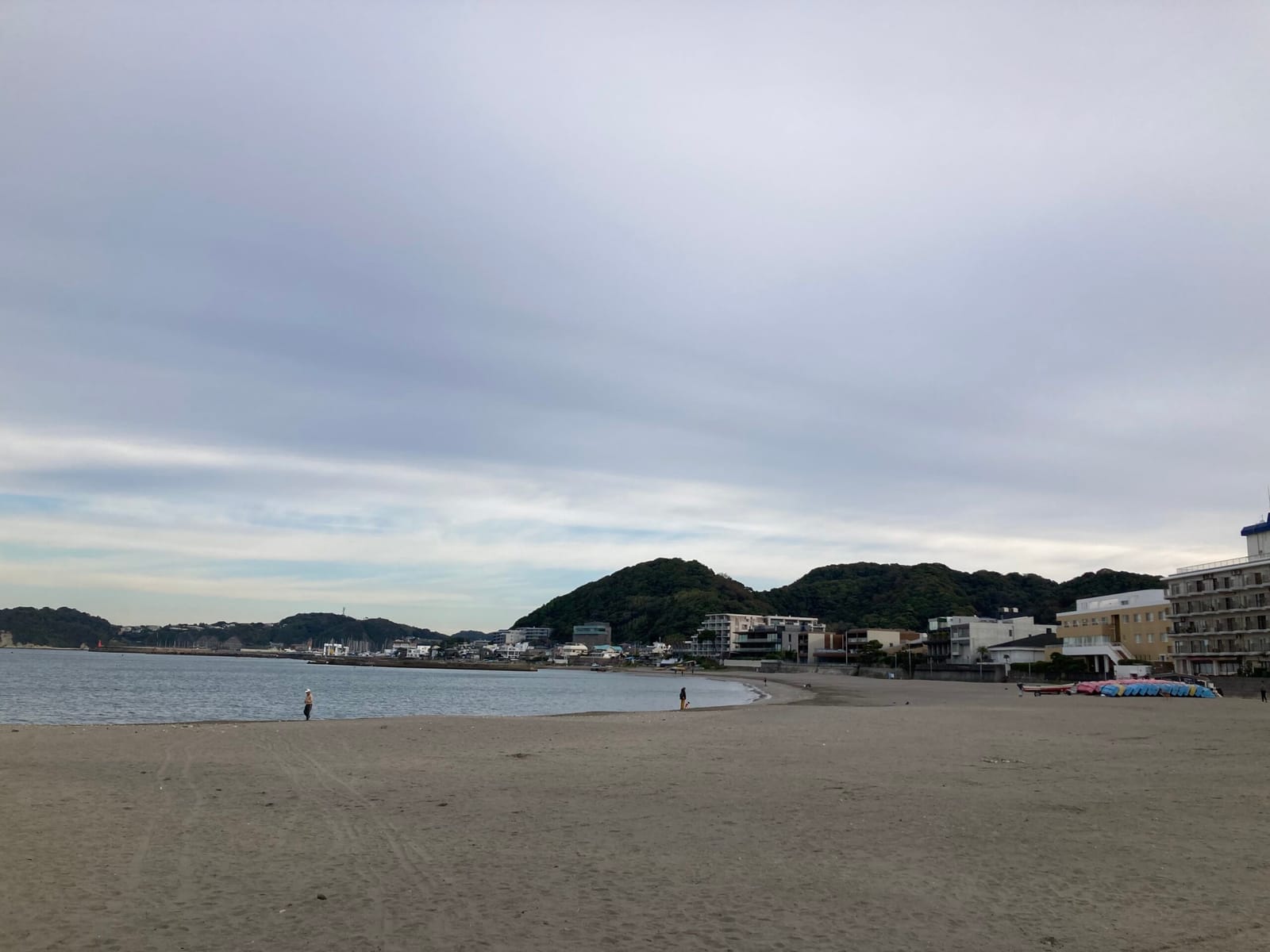 大学４年生