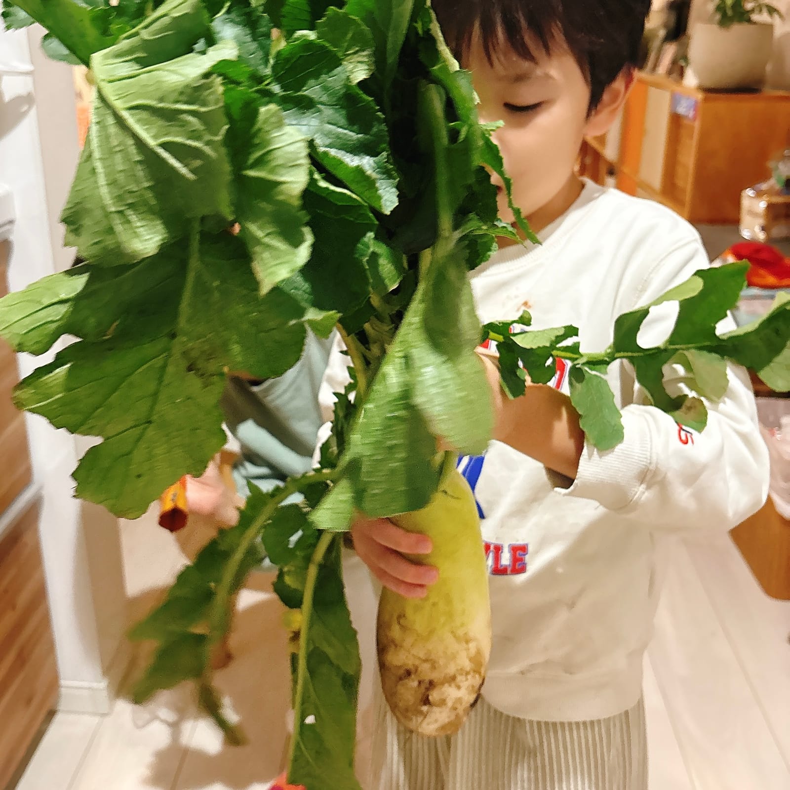 大根まつり