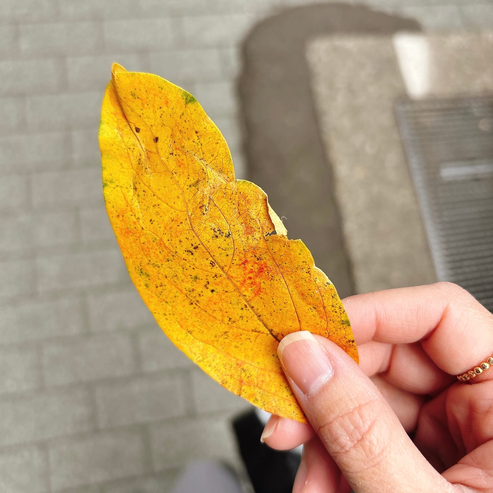 そこにある「頑張る楽しさ」も知って欲しくて