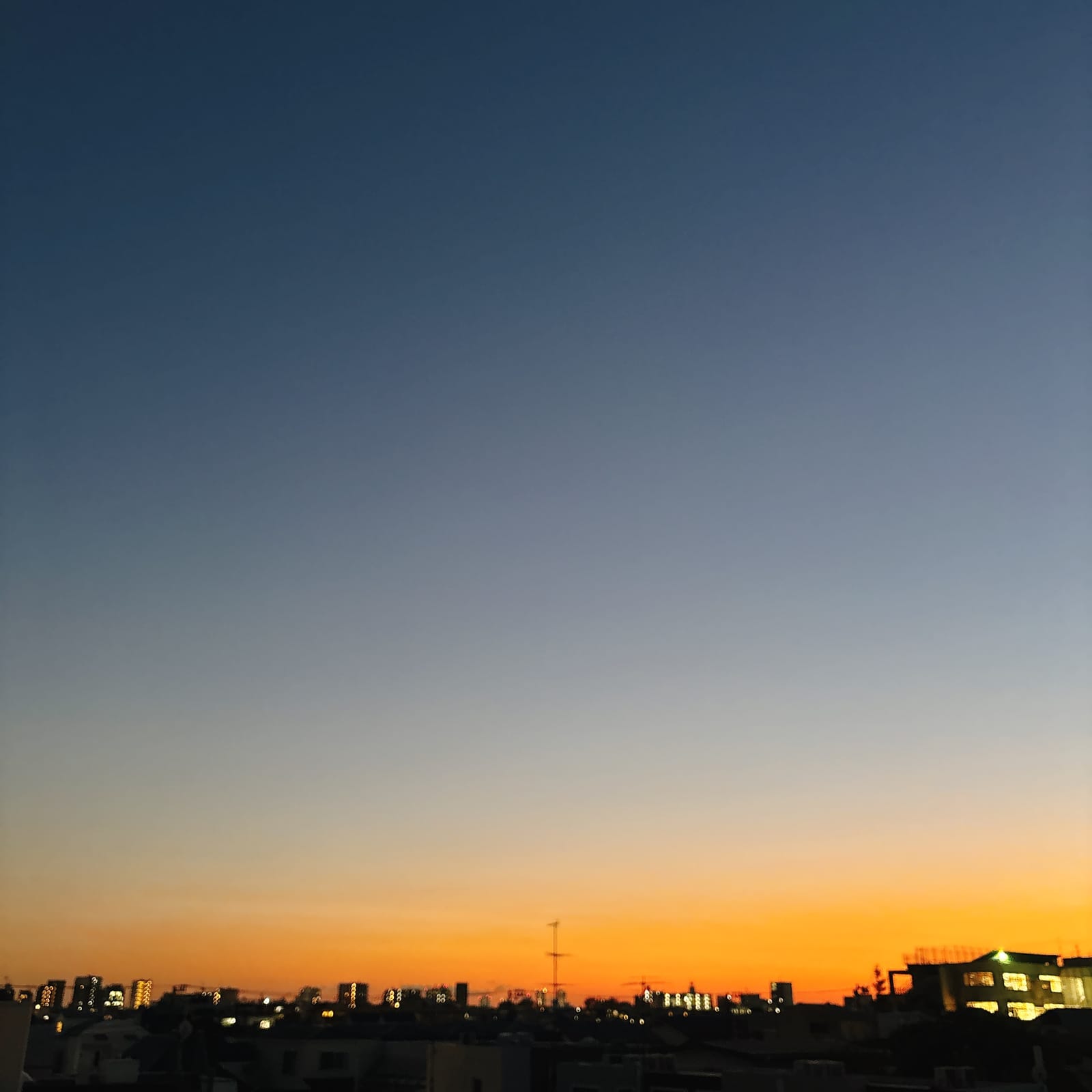 教育