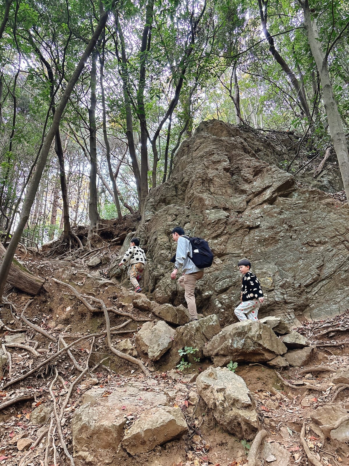 生まれてはじめての登山（日和田山）