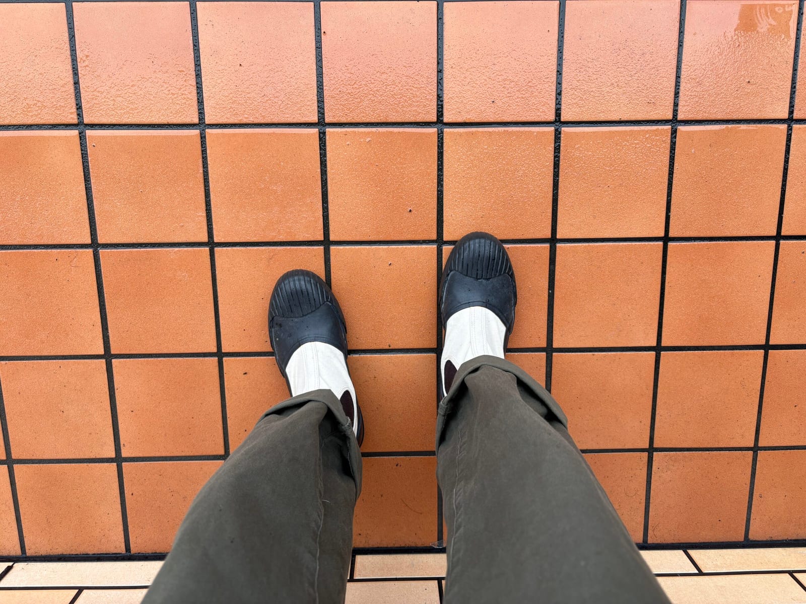 わたしのムーンスター