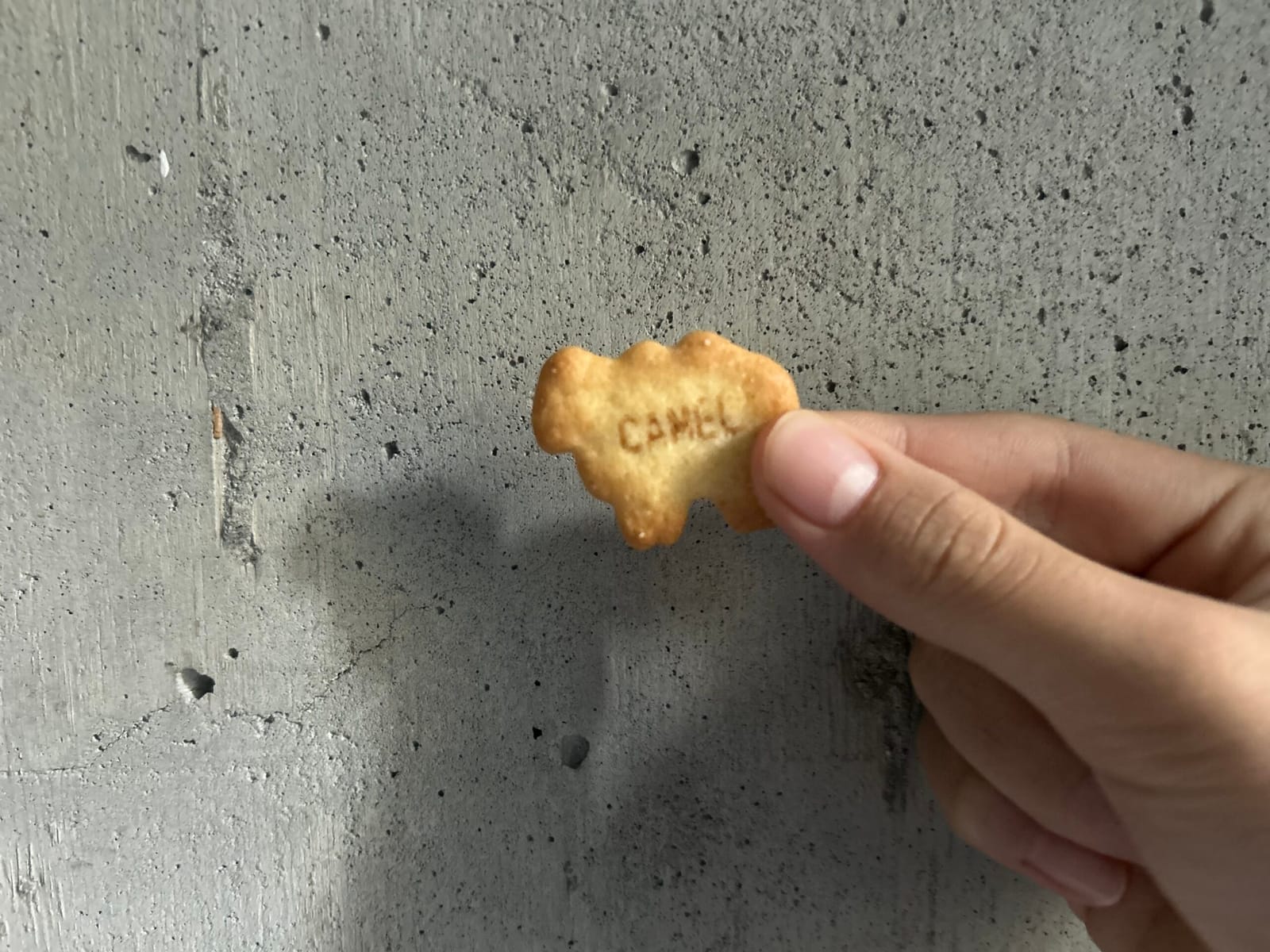 薄くなりました？