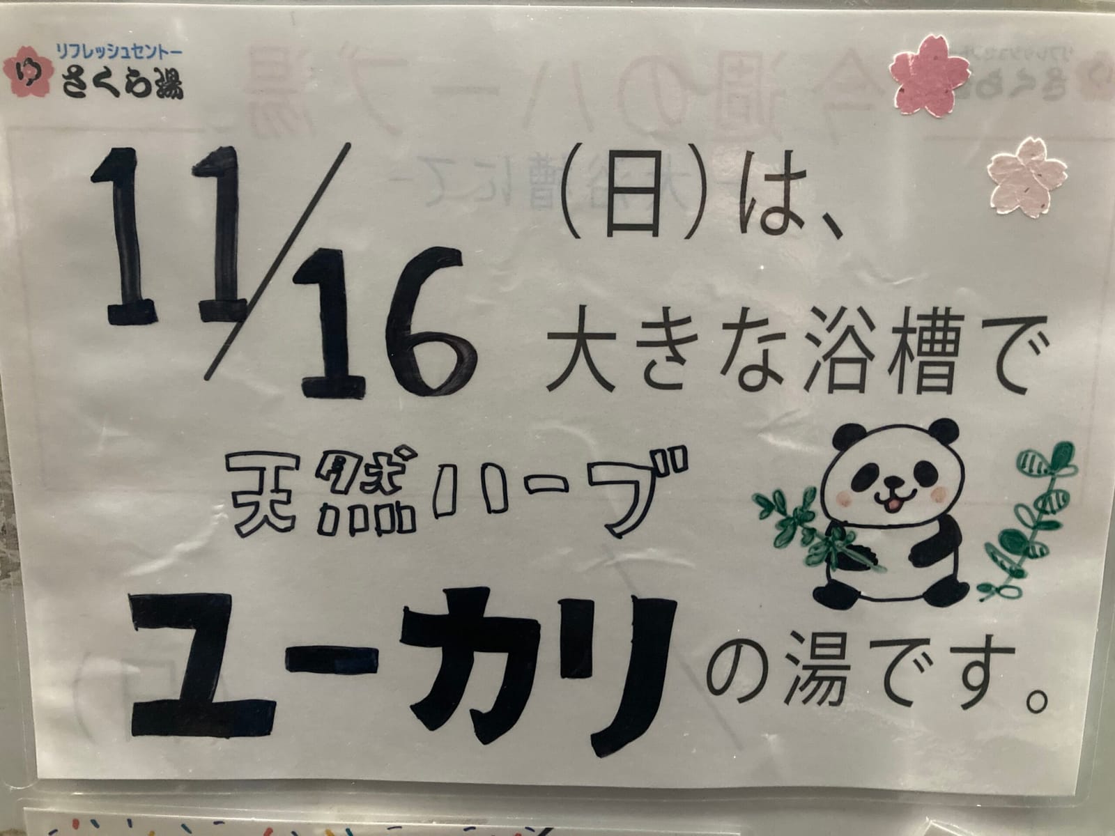 ユーカリ好きのパンダ