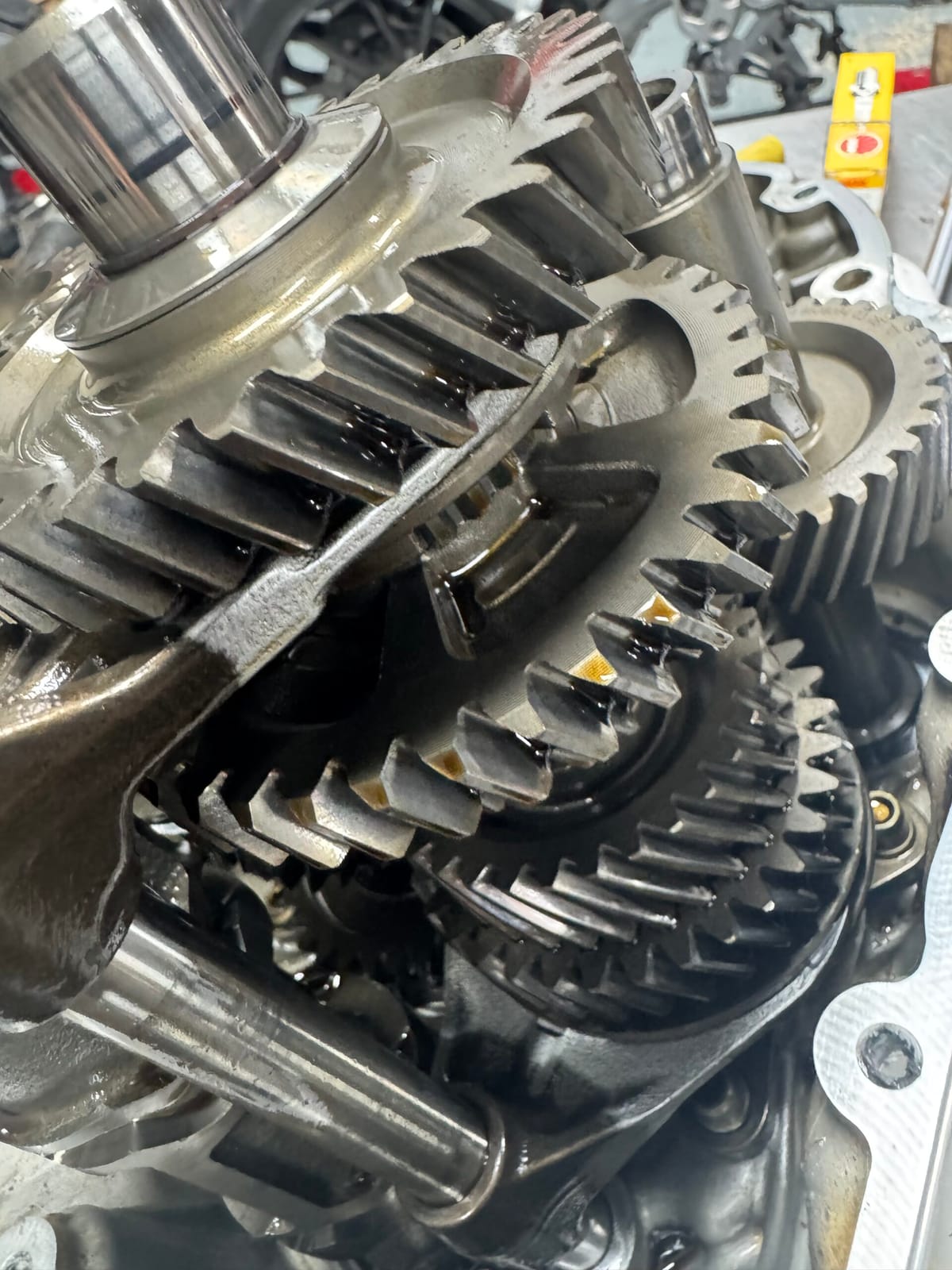 Moto y cerámica