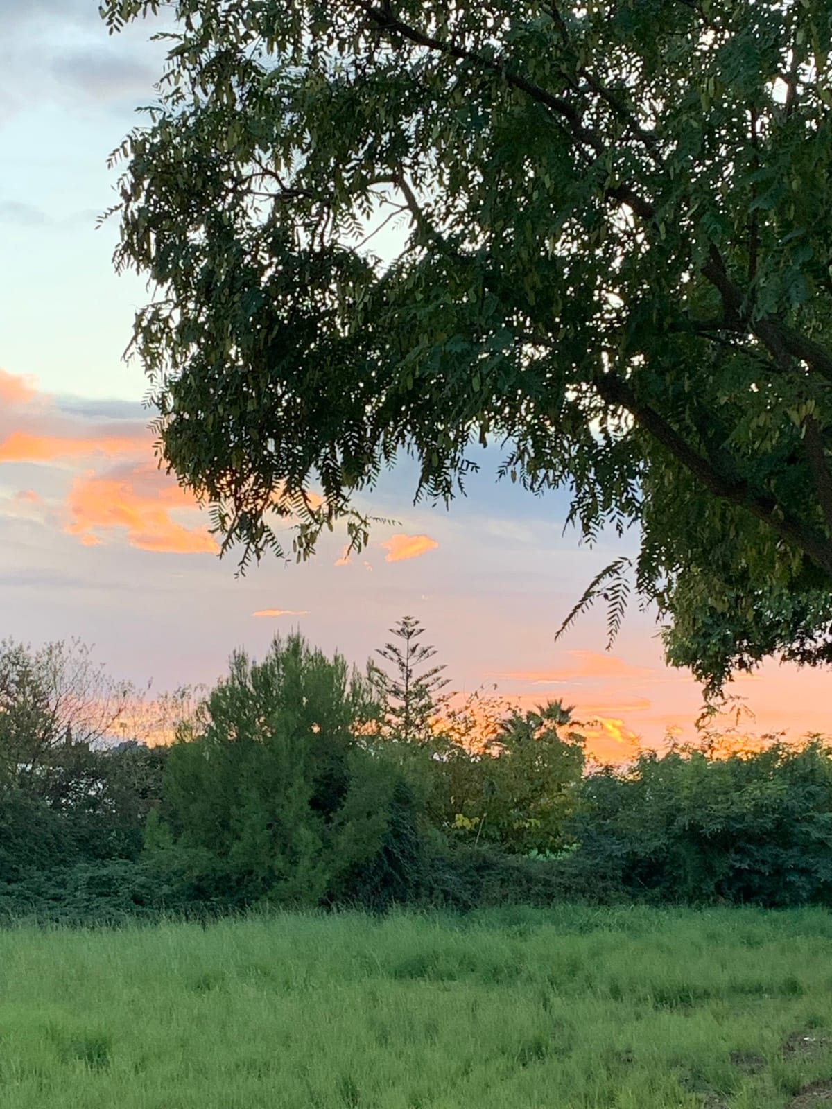 ATARDECER