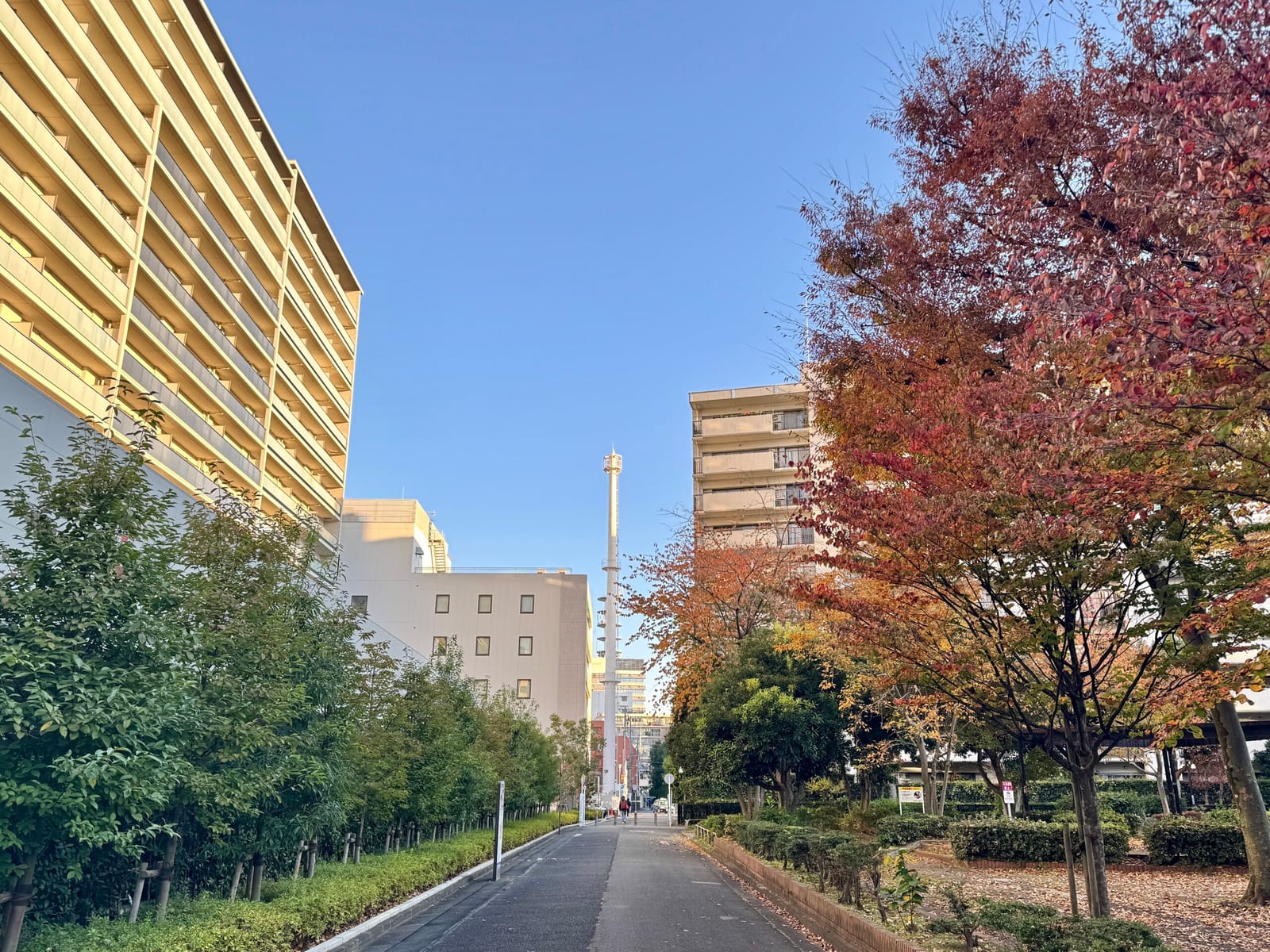 血は争えない